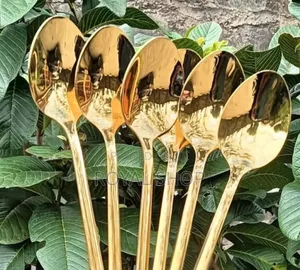 Gold Spoon 6pcs
