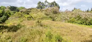 Greenfields Mugumo Residents,Virgin 1/2 Acres Land. Hot Sell