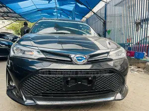 Toyota Corolla Fielder 2019 Black