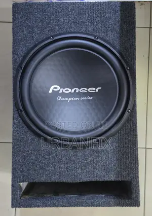 Pioneer 12 Inch 1500watts Double Magnet Bass Subwoofer With Cabinet