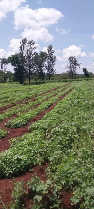 8 Acres on Sale at Makatuno-Sagana