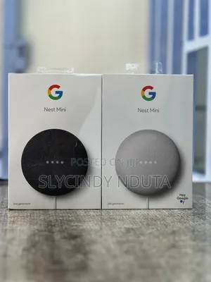 Google Nest Mini