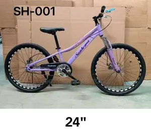 Sanhema 24-Inch Girls' Mountain Bike (Mtb