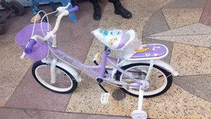Premier Kids Bicycle Size 16 With Training Wheels