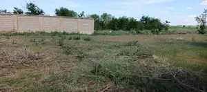 50 By 100 Plot At