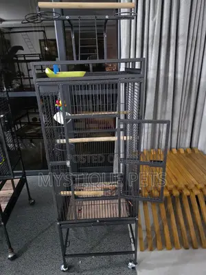 Grey Parrot Cage