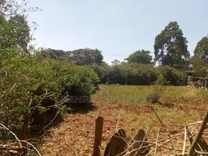 Land for Lease