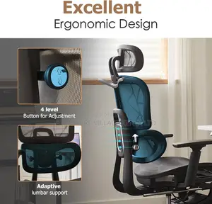 Office Chairs - High-back Executive Orthopedic Seat