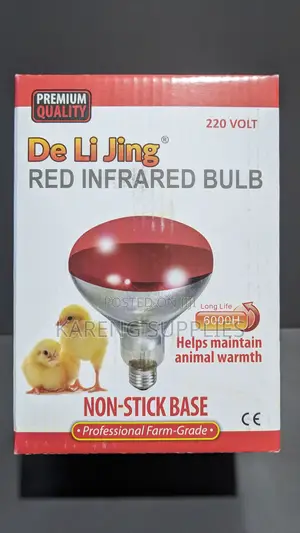 Chicken Infrared Bulb