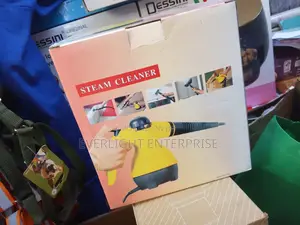 1000 Watts Steam Cleaner