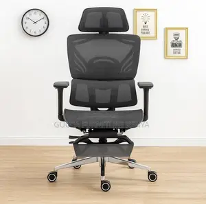 Executive Office Orthopedic Chair With Footrest
