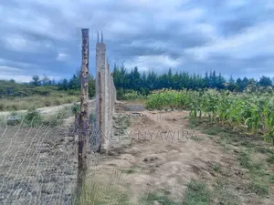 4 Acreas Nanyuki for Sale