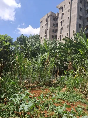 Roysambu Thika Road Behind TRM Commercial 40x80 Plot