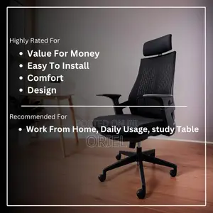 Office Chair : Executive Orthopedic Office Seat