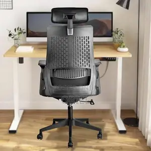 Office Chair : Executive Orthopedic Office Seat