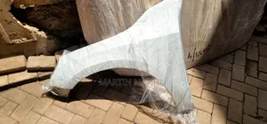 Volvo Wing/Fender