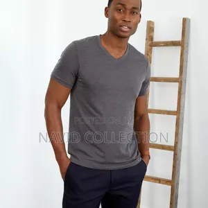 Grey Vneck Tshirt