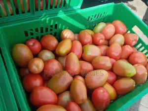 Our Tomatoes Are Good Not Form Green House