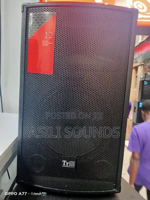 Trill Tr 812 Professional Two-Way Speaker.