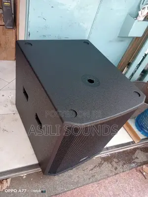 Thunder Sound Ts118 Subwoofer.