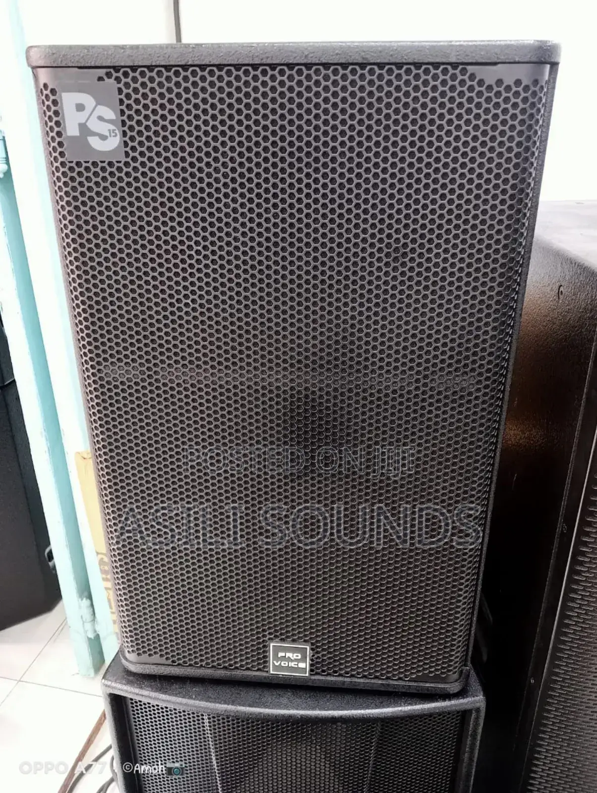 Pro Voice Professional Loud Speaker