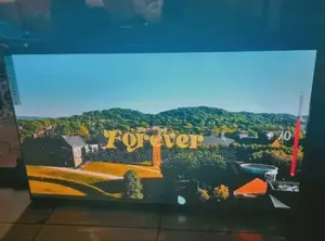 Webos Vitron 55 Inch Television