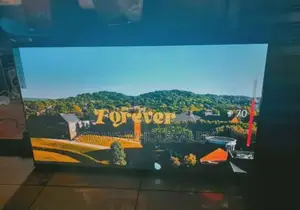 Frameless Vitron 55 Inch Smart Tv