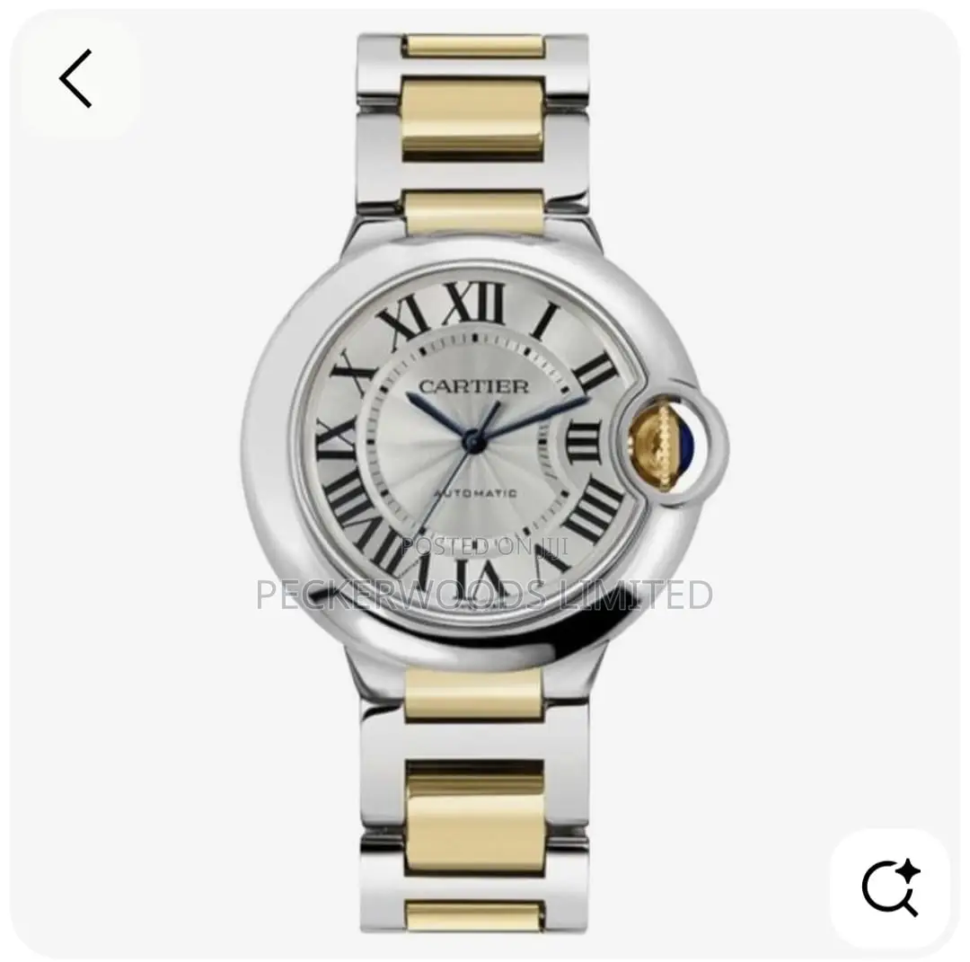 Gold Silver Watches