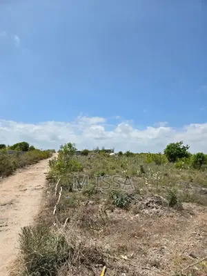 Beach Plot