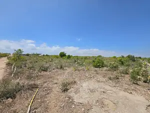 Beach Plot