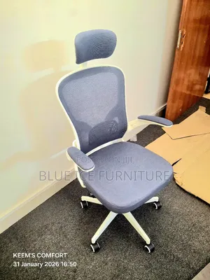 Director Office Chair