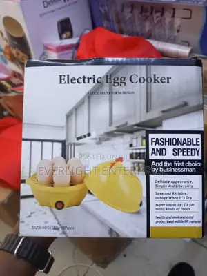 Electric Egg Cooker-Double