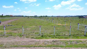 Sunset Ridge in Joska, Selling at in Cash
