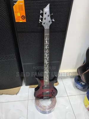 Peavey 5 String Passive Bass Guitar