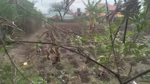 Quater Acre Land for Sale.