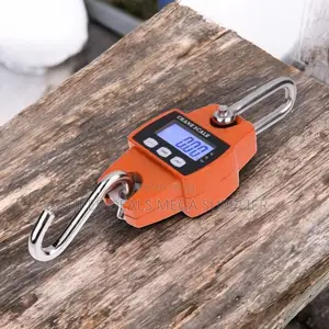 LCD Display Lightweight 300kgs Digital Hanging Hook Mini Crane Scale