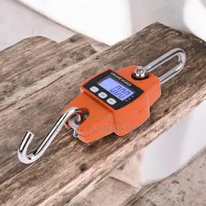 Quality Ensured Portable 300kgs Digital Hanging Hook Mini Crane Scale