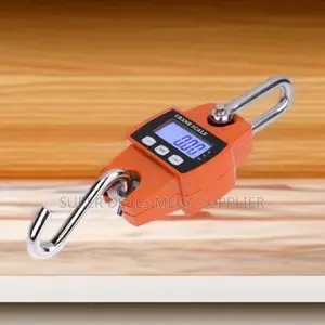 Longer Lasting Portable 300kgs Digital Hanging Hook Mini Crane Scale