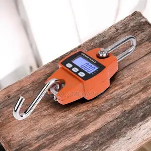 Inexpensive 300kgs Digital Hanging Hook Crane Scale With LCD Display