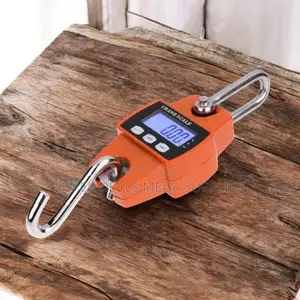 Large Capacity Battery 300kgs Digital Hanging Hook Mini Crane Scale