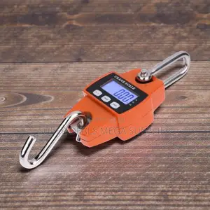 300kgs Digital Hanging Hook Mini Crane Scale With Rechargeable Battery