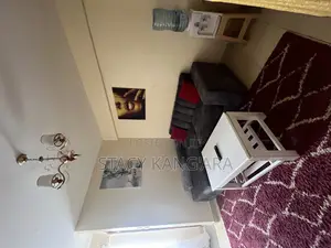 Fully Furnished One Bedroom, TRM Drive Roysambu