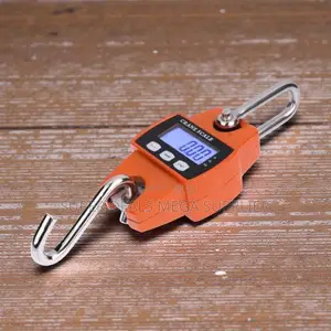 Portable 300kgs Digital Hanging Hook Mini Crane Scale With LCD Display