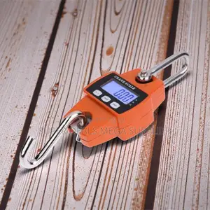 300kgs Digital Hanging Hook Mini Crane Scale Ideal for Industrial Use
