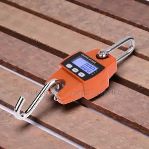 Easy to Read LCD Screen 300kgs Digital Hanging Hook Mini Crane Scale