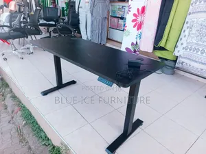 Executive Electric Desk