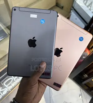 Apple iPad mini 5 256 GB Pink