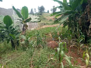 Land on Sale. At Muchatha Near Quickmart Supermarket