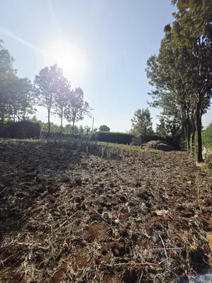 Prime Residential Plots in Kibiku, Ngong