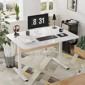 Professional Sit-Stand Desk – Home Office Use